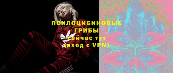 молекула духа Алзамай