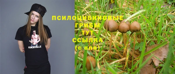 винт Алексеевка