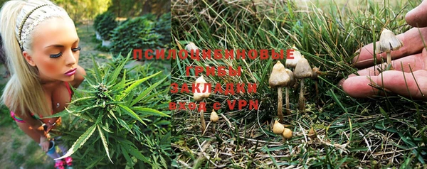 мет Пестово
