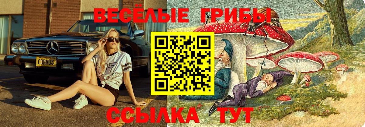 Гашиш  A PVP СК   Cocaine  МЕФ  Вход с VPN  МЕФ кристаллы  Серов  Конопля 