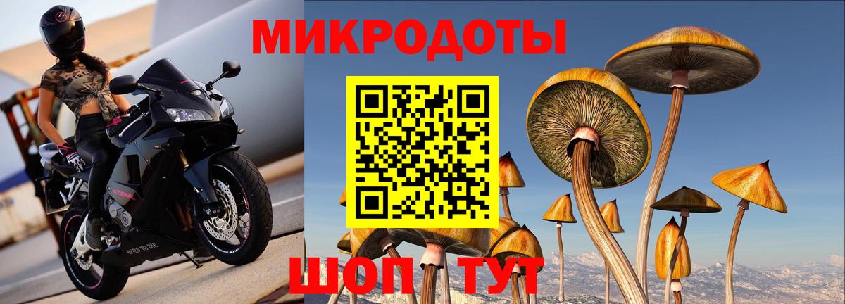 Галлюциногенные грибы мухоморы Серов